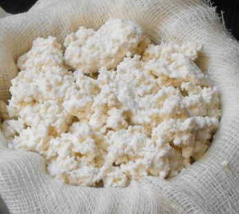 Queso Ricotta (250 grs)