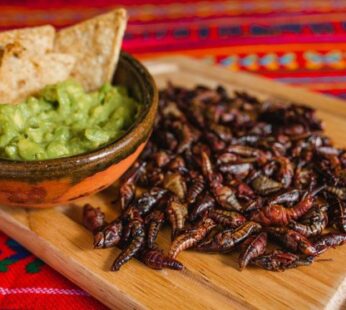 Chapulines de Oaxaca 100gr