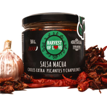 Salsa Macha  con Chapulines